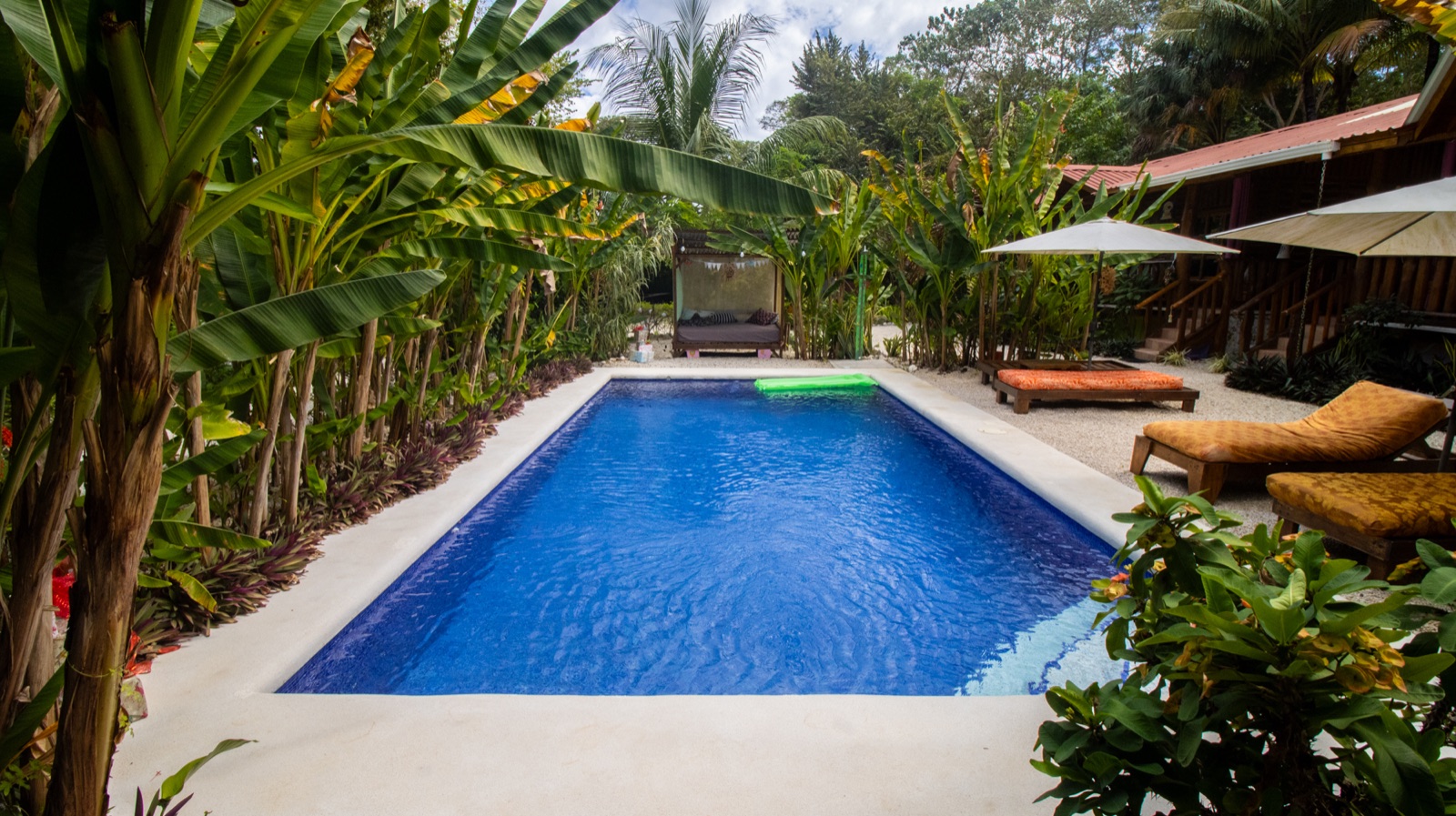 Jardín tropical